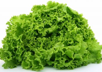 Zelena salata sa kiselim mlekom