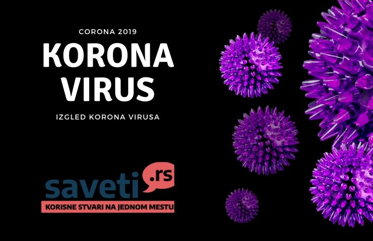 Korona virus 2019 covid -19