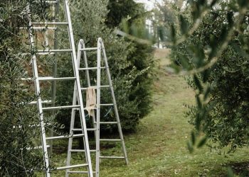Kako da pravilno koristite metalne merdevine?