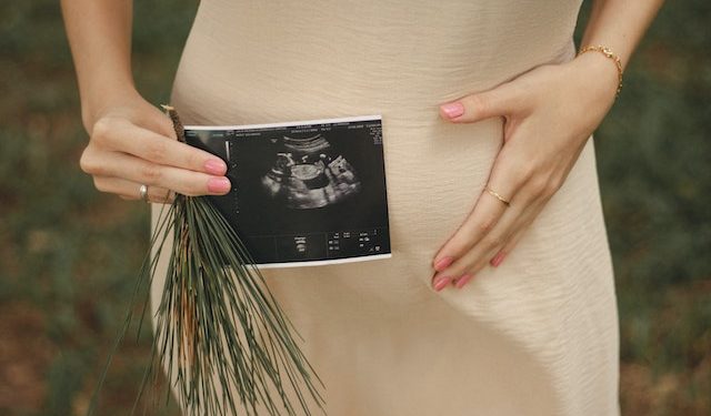 trudnoca po nedeljama i koraci u pracenju trudnoce