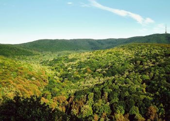 Zašto je Fruška Gora idealna destinacija za iznajmljivanje vikendice?