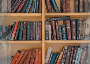 Glavni likovi u romanu “Seobe” Miloša Crnjanskog