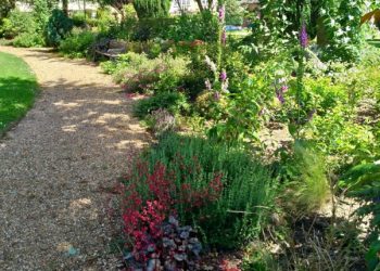 Saveti za održavanje zelenog raja