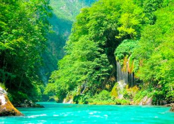 Priroda na Tari Drina reka