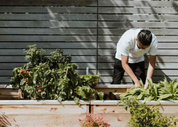 Nekoliko interesantnih uradi sam projekata u dvorištu – ideje i saveti