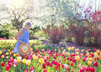 Oživite vašu baštu ovog proleća! Kompletan vodič za savršeno dvorište!