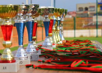 Trofeji i medalje