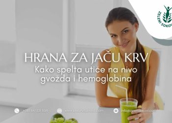 Hrana za jaču krv – Kako spelta utiče na nivo gvožđa i hemoglobina